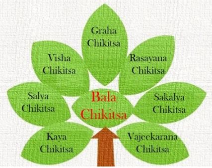 Ayurvéda 8 területe